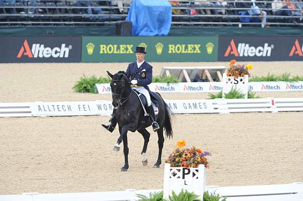 WEG1-9-28-10-DressageGP-5608-DDeRosaPhoto.jpg