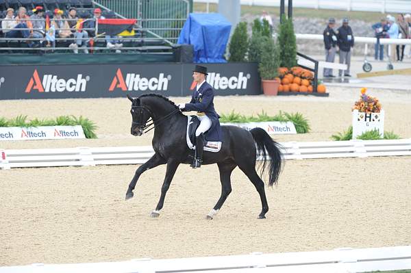 WEG1-9-28-10-DressageGP-5639-DDeRosaPhoto.jpg