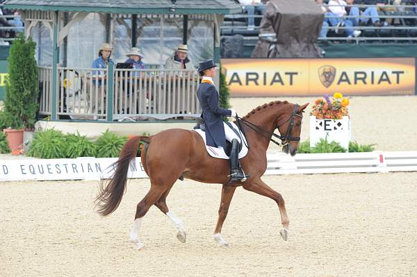 WEG1-9-28-10-DressageGP-5669-DDeRosaPhoto.jpg