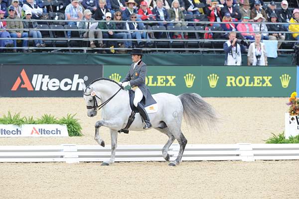 WEG1-9-28-10-DressageGP-5708-DDeRosaPhoto.jpg