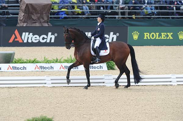 WEG1-9-28-10-DressageGP-5864-DDeRosaPhoto.jpg