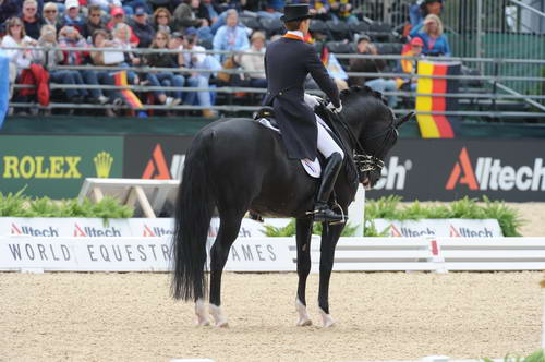 WEG1-9-28-10-DressageGP-6478-EdwardGal-MoorlandsTotilas-DDeRosaPhoto.jpg