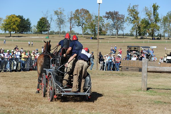 WEG4-10-9-10-DR-Marathon-0728-ChesterWeber-DDeRosaPhoto.jpg