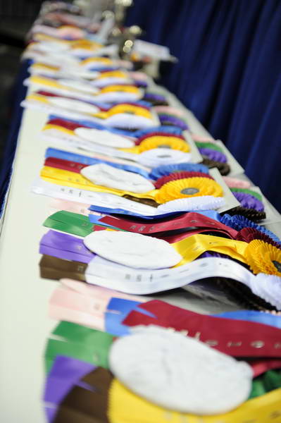 WIHS2-10-28-10-2357-DDeRosaPhoto.JPG