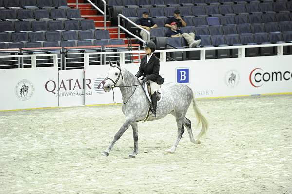 WIHS1-10-26-10-Cl3-GrConfHtr-7745-SteelMyHeart-WinnAlden-DDeRosaPhoto.jpg