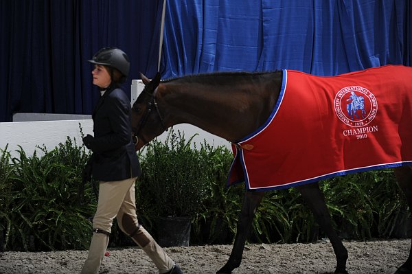 WIHS3-10-31-10-LgPnyHtrChamp-0134-ForTheLaughter-VictoriaColvin-DDeRosaPhoto.jpg