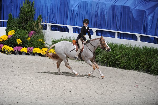 WIHS3-10-31-10-Cl114-MedPnyHtr-9723-SimplyMagical-SophieMichaels-DDeRosaPhoto.jpg