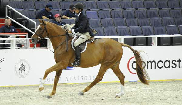 WIHS-10-26-10-Cl13-RgConfHtr-7569-Nickleback-HaroldChopping-DDeRosaPhoto.jpg