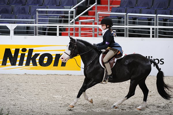 WIHS3-10-31-10-9243-Zorro-SarahCliftonYandell-DDeRosaPhoto.jpg