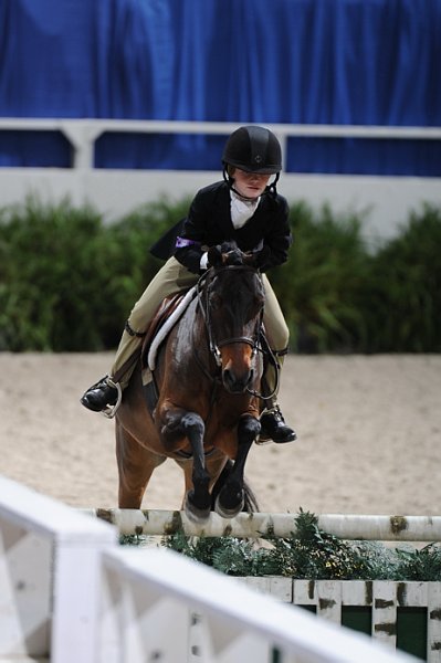 WIHS3-10-31-10-9376-Houdini-EmmaWujek-DDeRosaPhoto.jpg