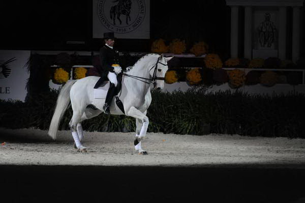 WIHS2-10-29-10-6393-PamGoodrich-Lamborghini-DDeRosaPhoto.JPG