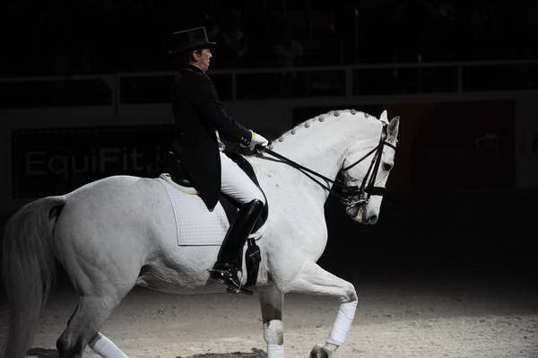 WIHS2-10-29-10-6519-PamGoodrich-Lamborghini-DDeRosaPhoto.jpg