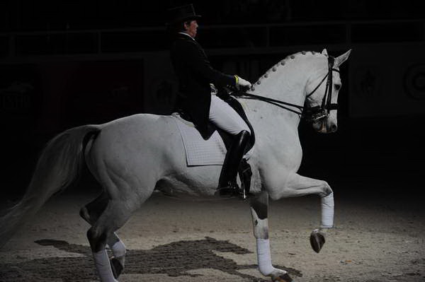 WIHS2-10-29-10-6521-PamGoodrich-Lamborghini-DDeRosaPhoto.JPG