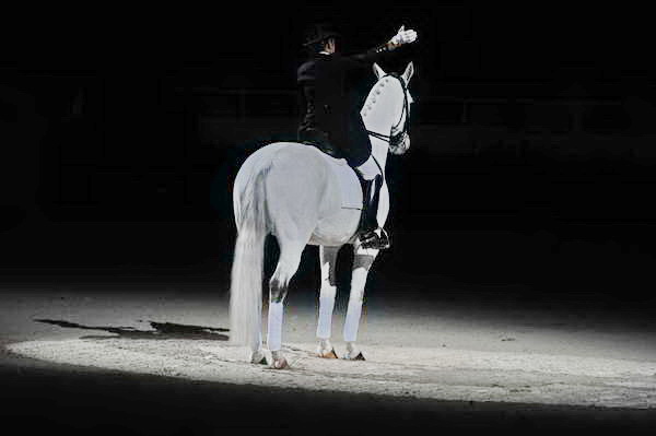 WIHS2-10-29-10-6534-PamGoodrich-Lamborghini-DDeRosaPhoto.JPG