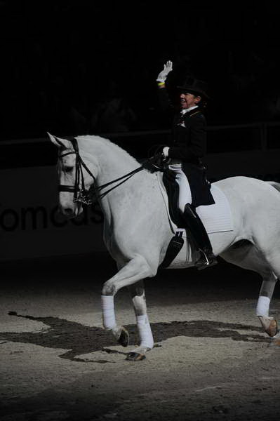 WIHS2-10-29-10-6548-PamGoodrich-Lamborghini-DDeRosaPhoto.JPG