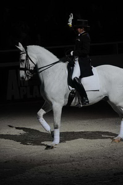 WIHS2-10-29-10-6551-PamGoodrich-Lamborghini-DDeRosaPhoto.JPG