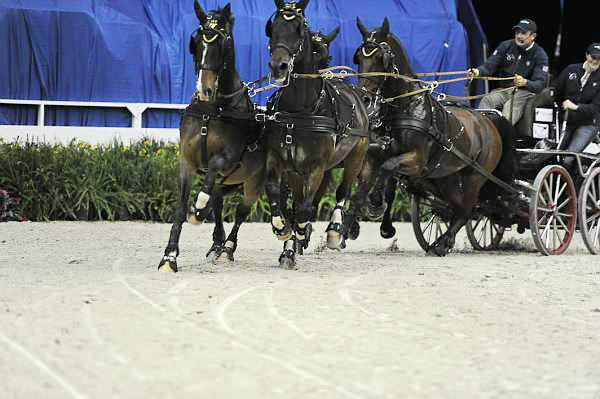 WIHS2-10-28-10-4727-ChesterWeber-DDeRosaPhoto.jpg