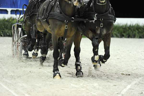 WIHS2-10-28-10-4729-ChesterWeber-DDeRosaPhoto.jpg