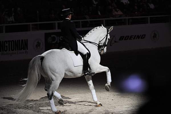 WIHS2-10-29-10-6525-PamGoodrich-Lamborghini-DDeRosaPhoto-2.jpg