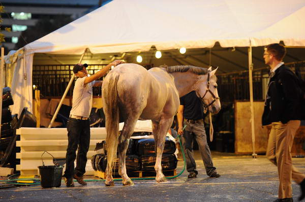 WIHS1-10-26-10- 7353-DDeRosaPhoto.jpg