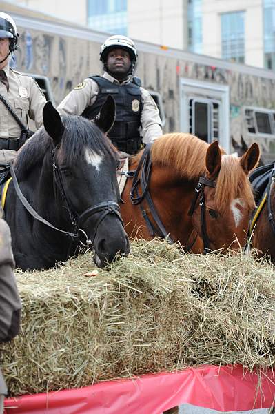 WIHS2-10-27-10-BreakfastMtdPolice-0521-DDeRosaPhoto.jpg