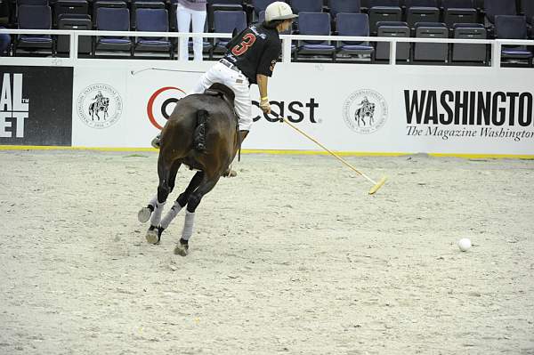 WIHS2-10-27-10-MilitaryPolo-2175-DDeRosaPhoto.jpg