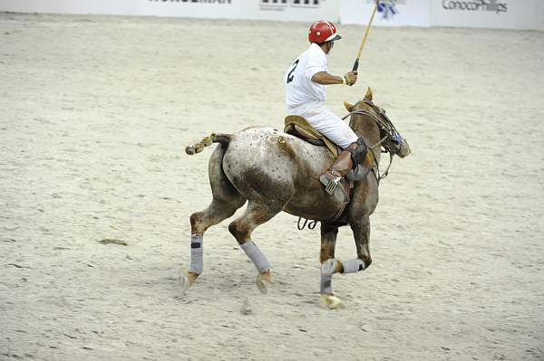 WIHS2-10-27-10-MilitaryPolo-2209-DDeRosaPhoto.jpg