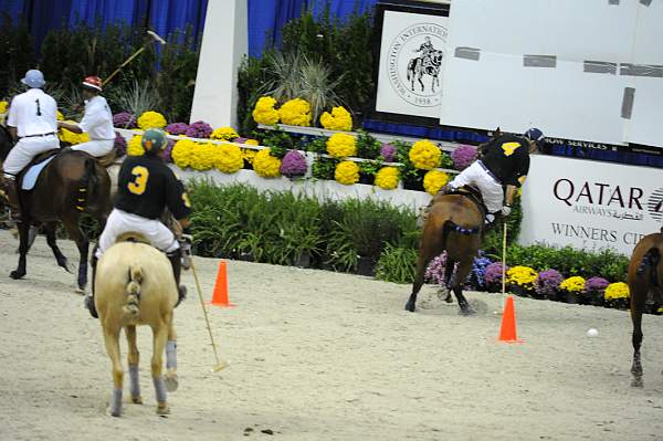 WIHS2-10-27-10-MilitaryPolo-2217-DDeRosaPhoto.jpg