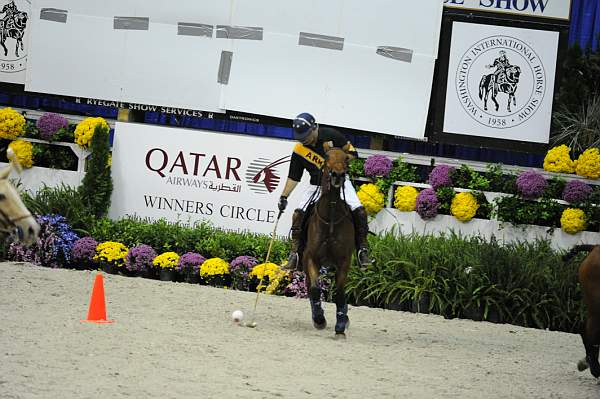 WIHS2-10-27-10-MilitaryPolo-2219-DDeRosaPhoto.jpg