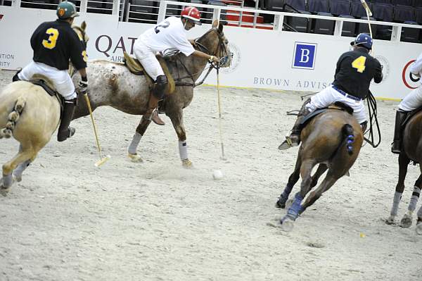 WIHS2-10-27-10-MilitaryPolo-2230-DDeRosaPhoto.jpg