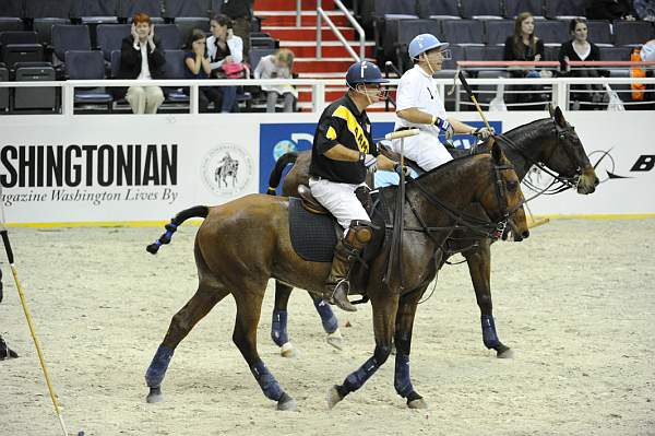 WIHS2-10-27-10-MilitaryPolo-2244-DDeRosaPhoto.jpg