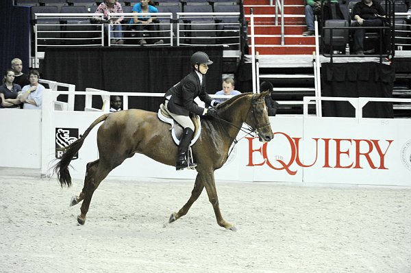 Equiery-WIHS1-10-26-10-9393-DDeRosaPhoto.jpg