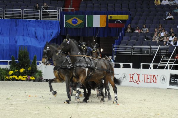 Equiery-WIHS2-10-28-10-DSC_7925-DDeRosaPhoto.jpg