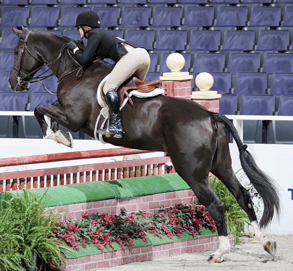 WIHS2-10-29-10-Cl181-WIHSEq-Htr-5702-CatherineBillings-Figaro-DDeRosaPhoto.jpg