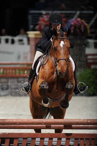 WIHS2-10-29-10-Cl181-WIHSEq-Htr-5724-ElizabethDeGolian-Califernia-DDeRosaPhoto.jpg