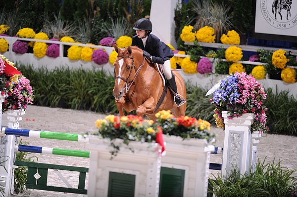 WIHS2-10-30-10-Cl182-WIHSEqJpr-8061-AbigailMcArdle-Aztec-DDeRosaPhoto.jpg