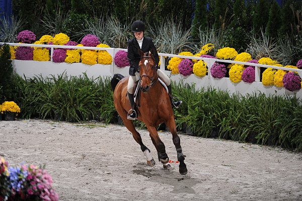 WIHS2-10-30-10-Cl182-WIHSEqJpr-8066-ElizabethDeGolian-Califernia-DDeRosaPhoto.jpg