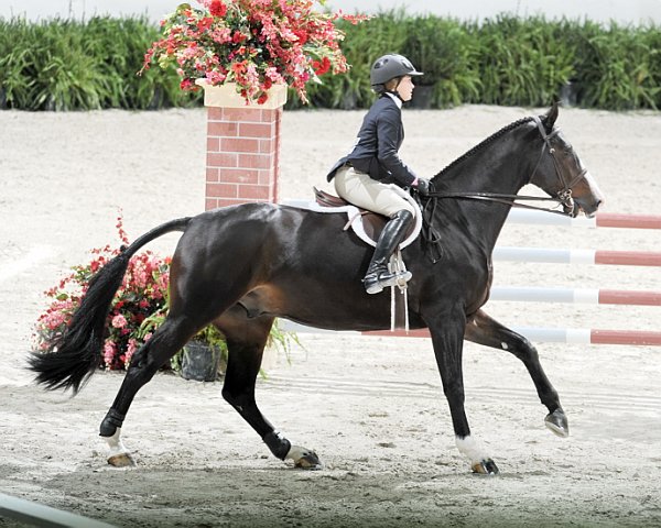 WIHS2-10-30-10-Cl182-WIHSEqJpr-8180-VictoriaColvin-VIPZ-DDeRosaPhoto.jpg