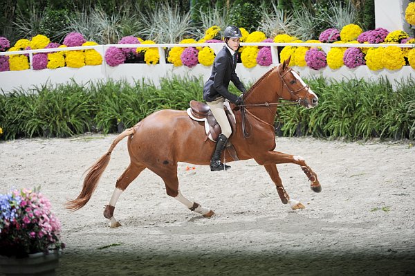 WIHS2-10-30-10-Cl182-WIHSEqJpr-8196-TheodoreBoris-WCSwing-DDeRosaPhoto.jpg