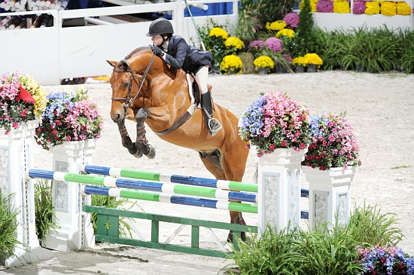 WIHS2-10-30-10-Cl182-WIHSEqJpr-8222-KatieDinan-Borealus-DDeRosaPhoto.jpg