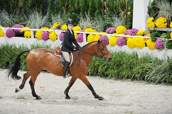 WIHS2-10-30-10-Cl182-WIHSEqJpr-8226-KatieDinan-Borealus-DDeRosaPhoto.jpg