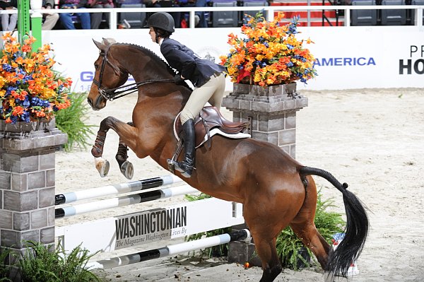 WIHS2-10-30-10-Cl182-WIHSEqJpr-8313-MegOMara-WakingDream-DDeRosaPhoto.jpg