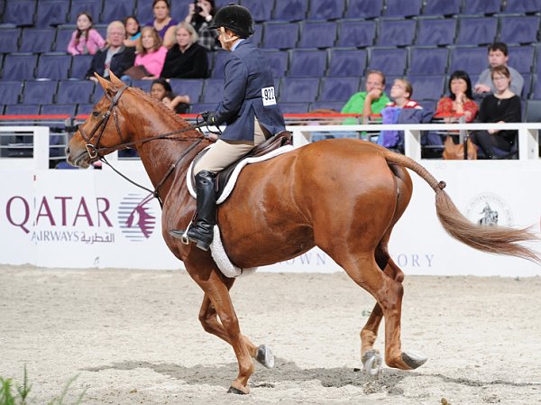 WIHS3-10-31-10-Cl191-RegHtrFinalsHrs-0326-Sofia-BonnieDarcey-DDeRosaPhoto.jpg