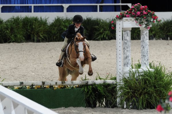 WIHS3-10-31-10-Cl193-LocHtrFinals-Pny-0225-PumpkinPatch-TrinityHammerschmidt-DDeRosaPhoto.jpg