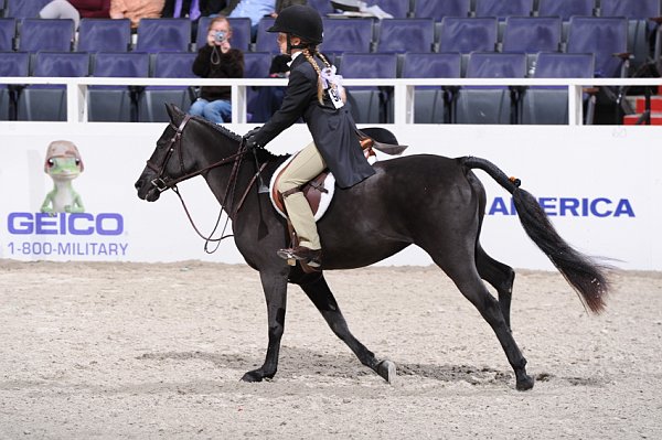 WIHS3-10-31-10-Cl193-LocHtrFinals-Pny-0229-RockStar-ElizabethParent-DDeRosaPhoto.jpg