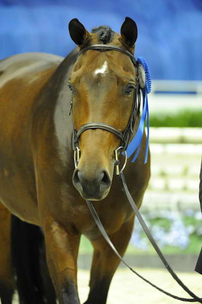 BridgetHallman-WIHS1-10-26-10-Cl52-A-O-Htr35-U-8858-DoTell-DDeRosaPhoto.jpg