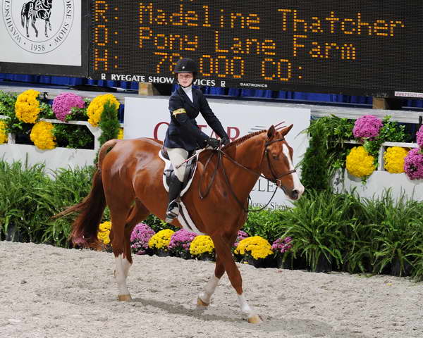 MadelineThatcher-WIHS2-10-28-10-2668-RedSky-DDeRosaPhoto.JPG