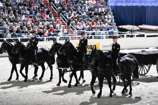 Caisson-WIHS2-10-30-10-8516-DDeRosaPhoto-2.jpg