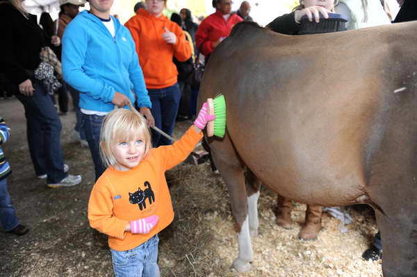 KidsDay-WIHS3-10-30-10-DSC_8230-KidsDay-DDeRosaPhoto.JPG