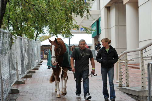 WIHS2-2010-WEG_0634-DDeRosaPhoto.jpg